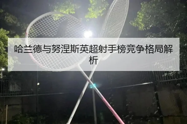 ha-lan-de-yu-nu-nie-si-ying-chao-she-shou-bang-jing-zheng-ge-ju-jie-xi-2-993.jpg